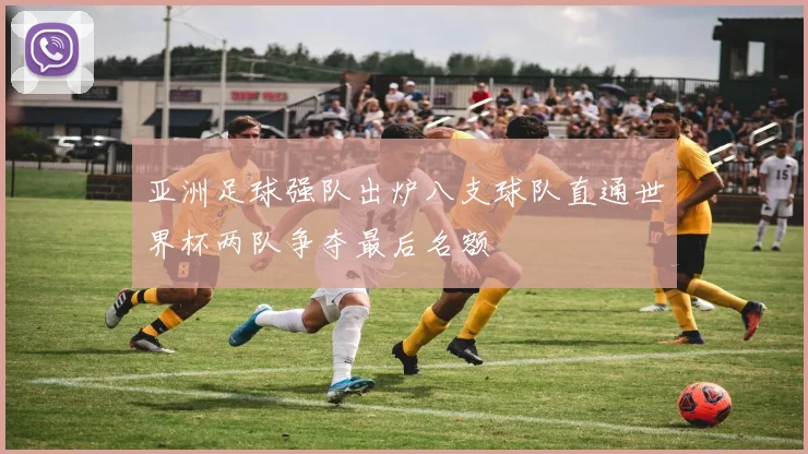 亚洲足球强队出炉八支球队直通世界杯两队争夺最后名额