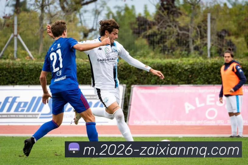 在线买球网站APP 高清赛事图